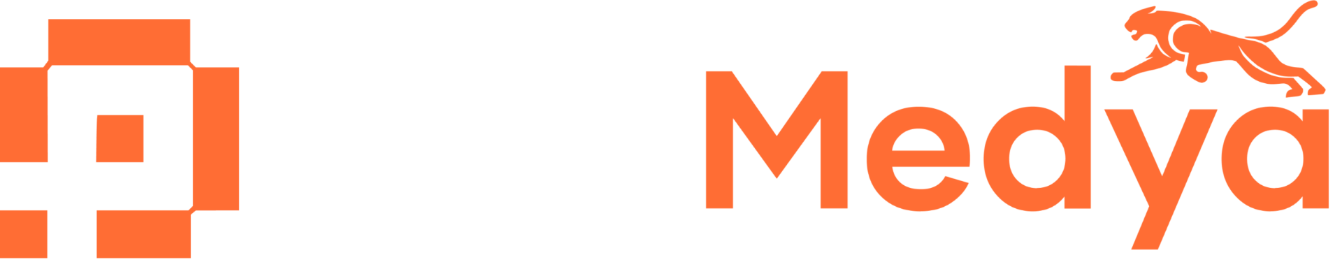 Pars Medya